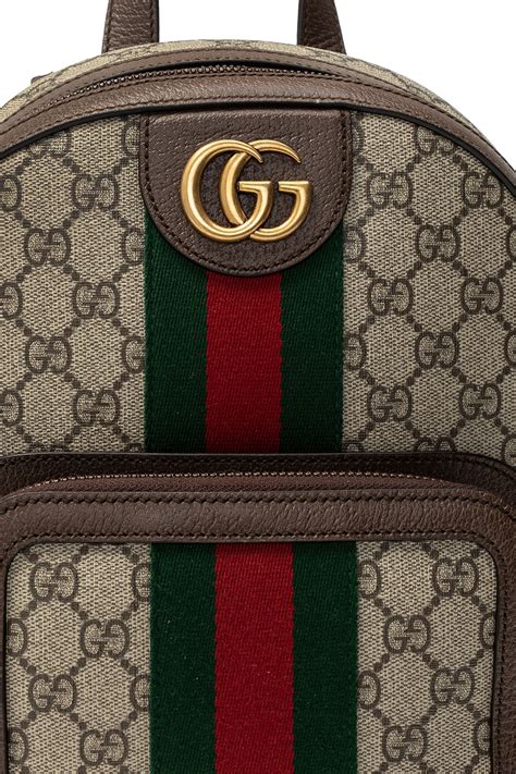 Gucci polska